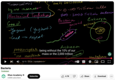 Bacteria Instructional Video