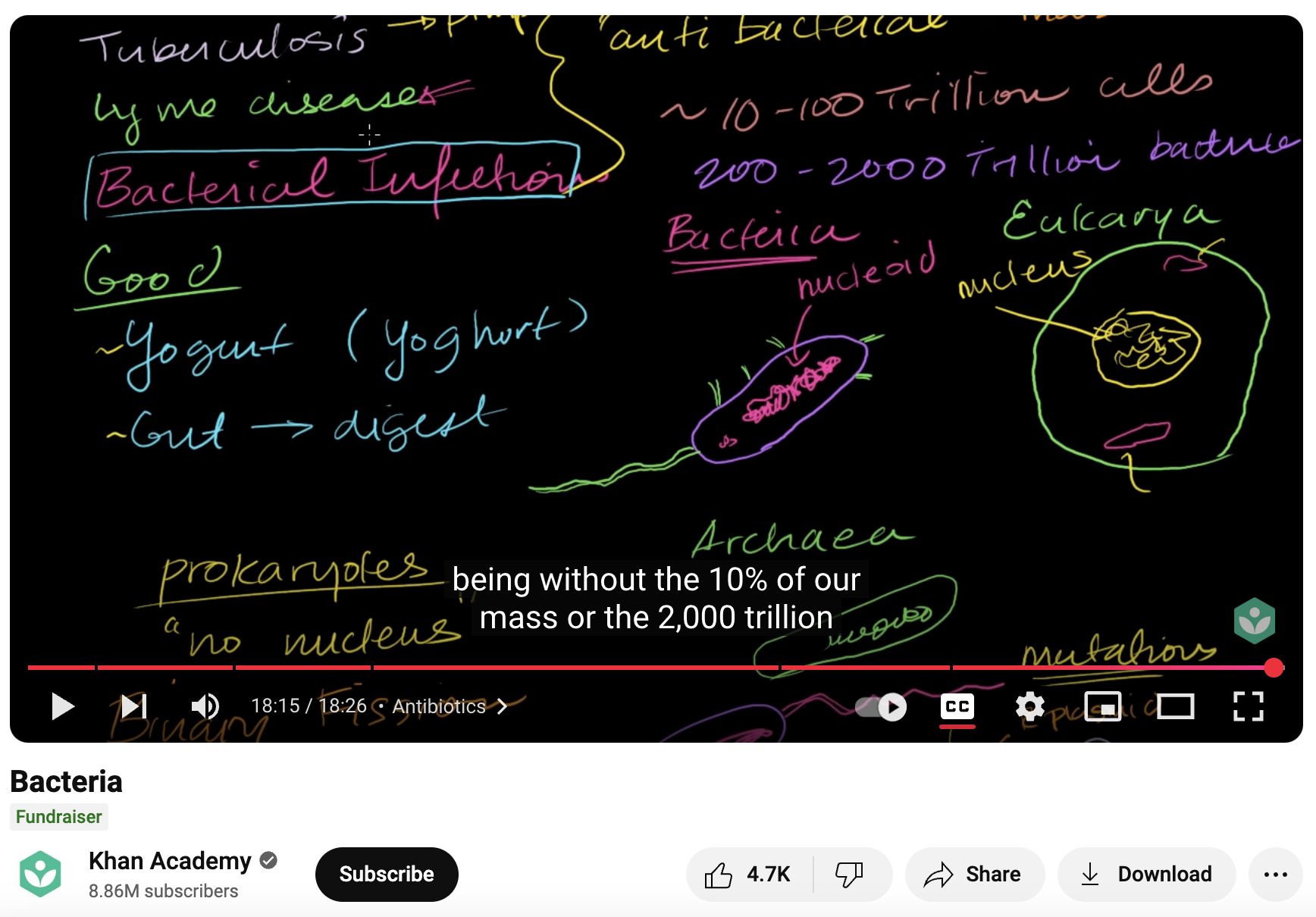 Bacteria Instructional Video