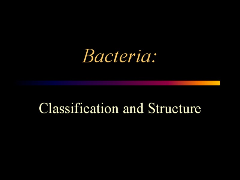 Bacteria PPT