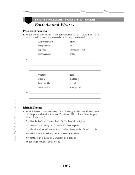 Bacteria and Viruses Worksheet