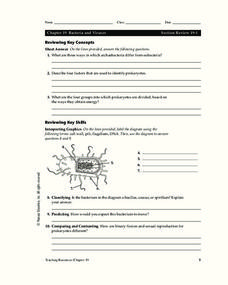 Bacteria Worksheet