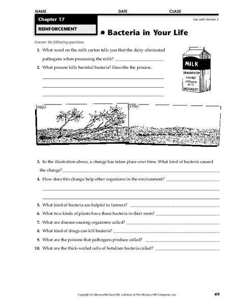 Bacteria in Your Life Worksheet