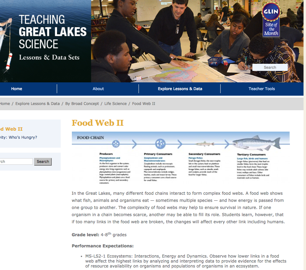 Food Web II Lesson Plan