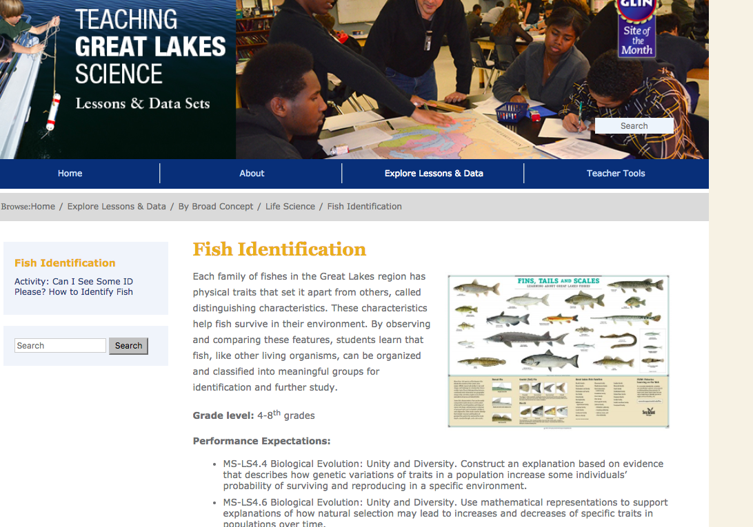 Fish Identification Lesson Plan