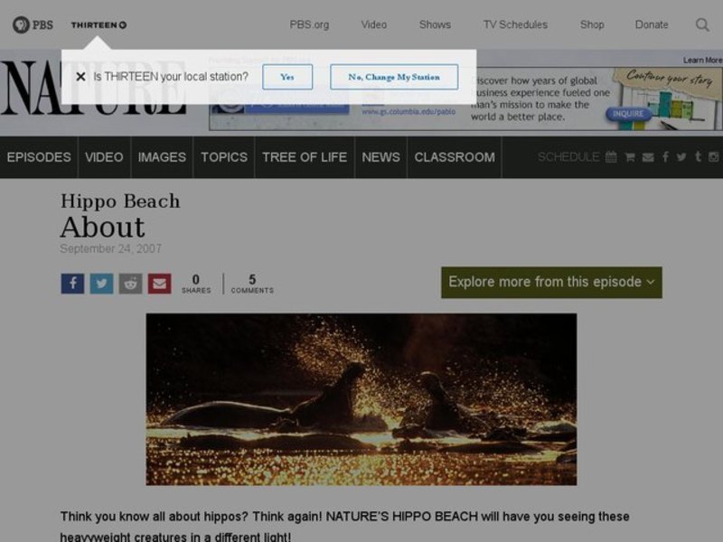 Sun, Sand, and Hippos Lesson Plan