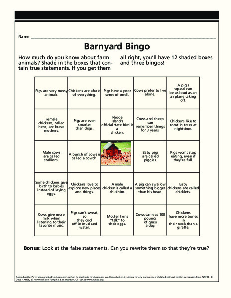 Barnyard Bingo Lesson Plan