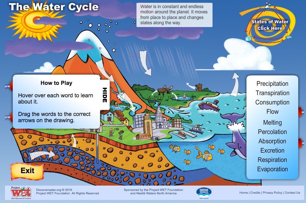 The Water Cycle Interactive