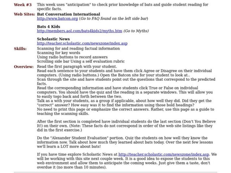 Bats Lesson Plan