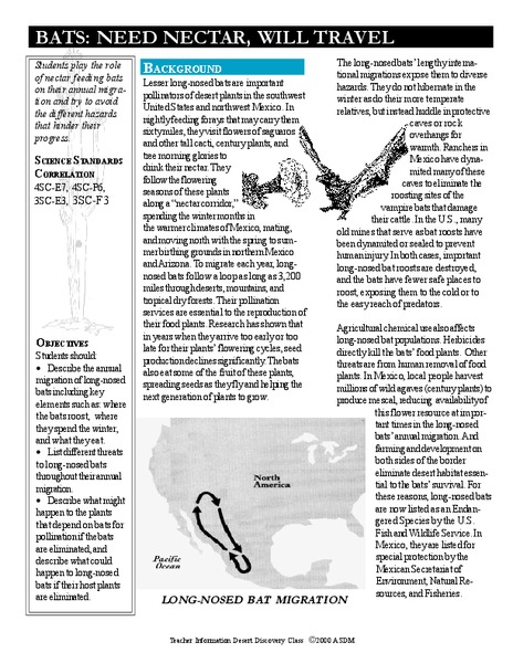 BATS: NEED NECTAR, WILL TRAVEL Lesson Plan