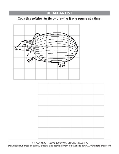 Be an Artist: Softshell Turtle Lesson Plan