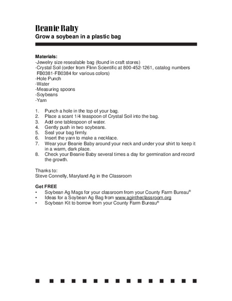 Beanie Baby Lesson Plan