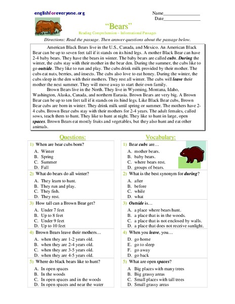 Bears Worksheet