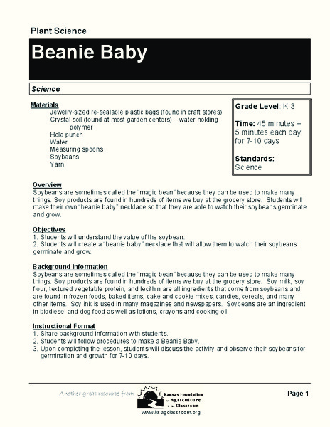 Beanie Baby Lesson Plan