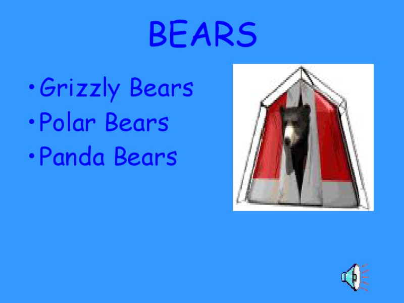 Bears PPT