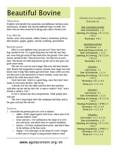 Beautiful Bovine Lesson Plan