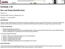 Bee and Wasp Identification Lesson Plan