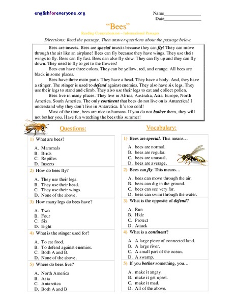 Bees Worksheet