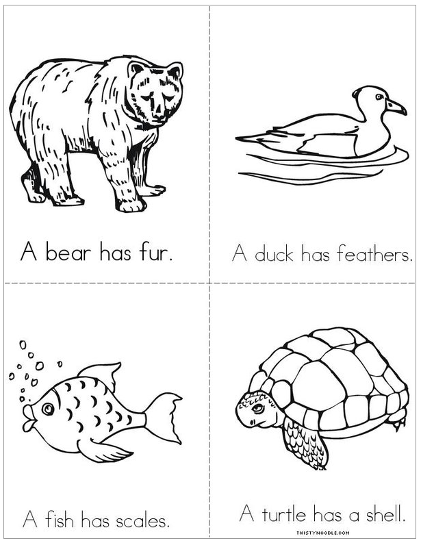 Fur, Features, Scales, and Shells Book Printables