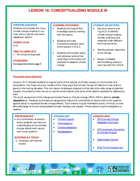 Conceptualizing Module III Lesson Plan