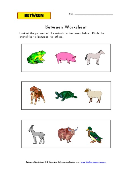 Between Worksheet Worksheet