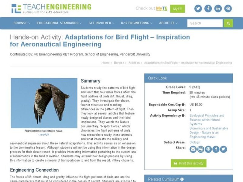 Adapatations for Bird Flight - Inspiration for Aeronautical Engineering Activity