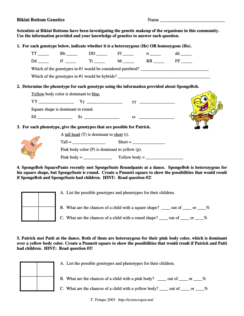 Bikini Bottom Genetics Worksheet