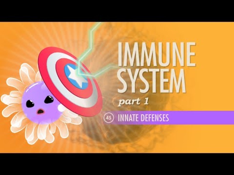 Immune System (Part 1) Instructional Video