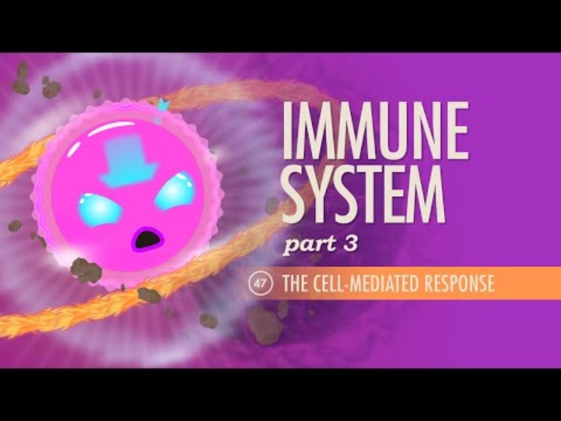 Immune System (Part 3) Instructional Video
