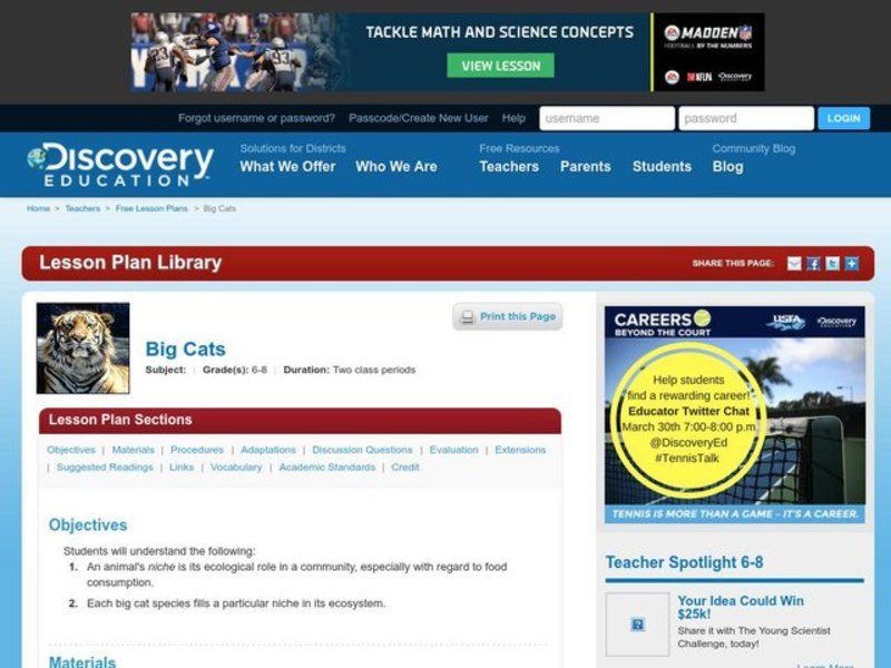 Big Cats Lesson Plan