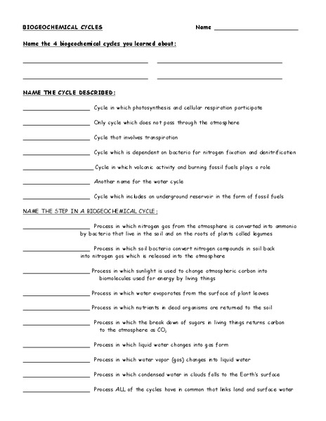 Biochemical Cycles Worksheet