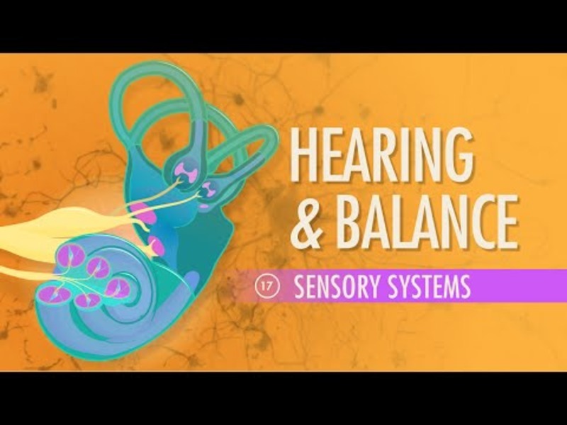 Hearing and Balance Instructional Video