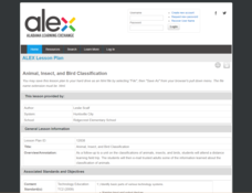 Animal, Insect, and Bird Classification Lesson Plan