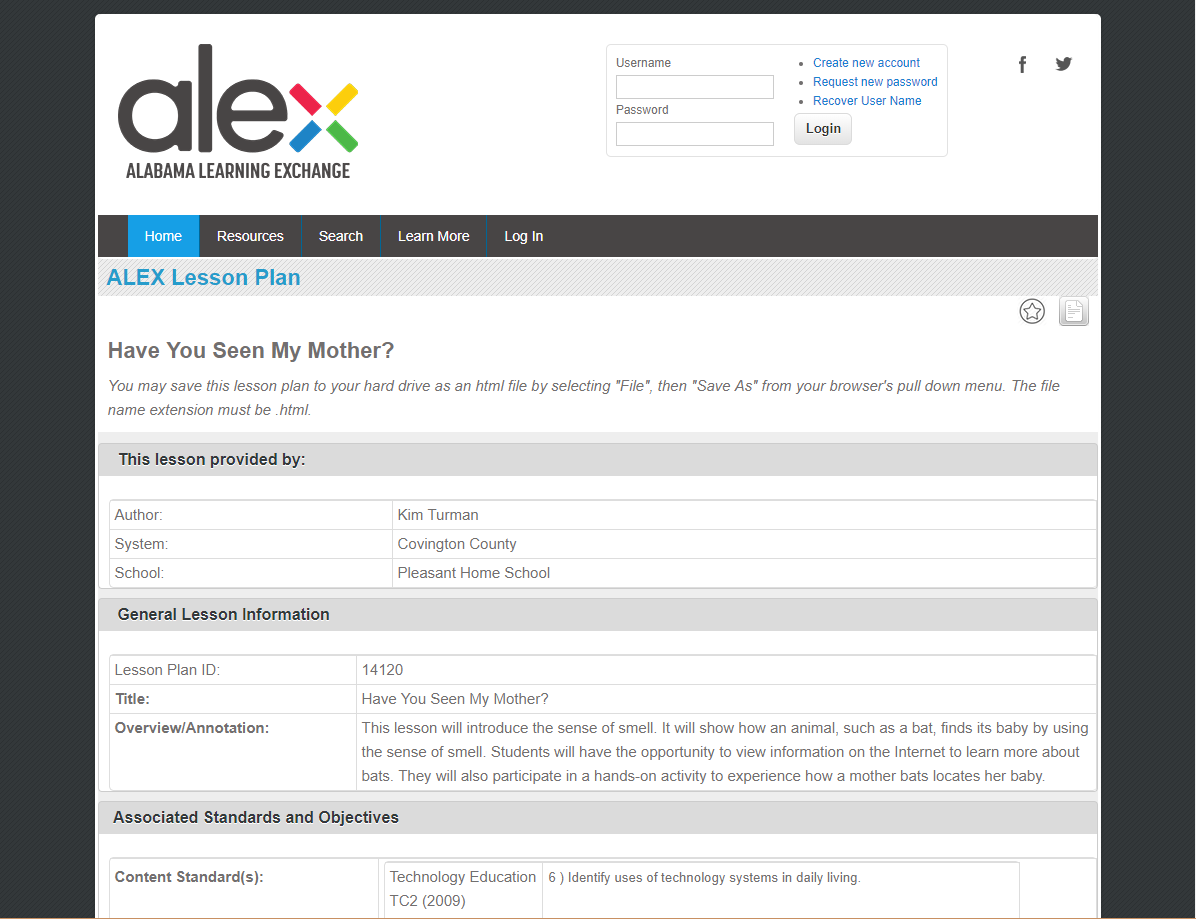 Have You Seen My Mother? Lesson Plan