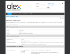 Exploring Plant Leaves Lesson Plan