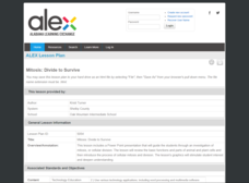 Mitosis: Divide to Survive Lesson Plan