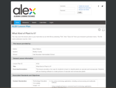 What Kind of Plant is it? Lesson Plan