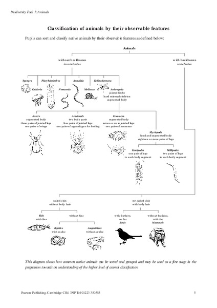 Biodiversity Worksheet