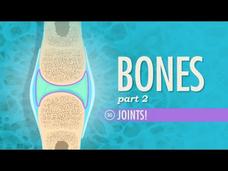 Joints Instructional Video