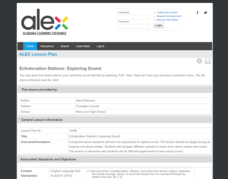 Echolocation Stations: Exploring Sound Lesson Plan