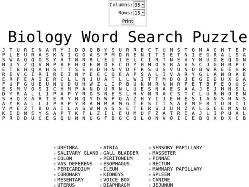 Biology Word Search Worksheet