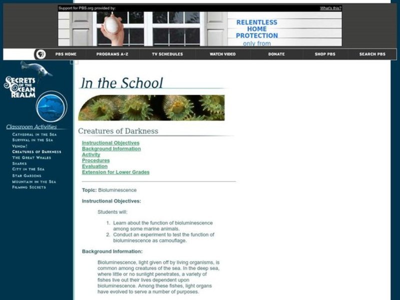 Bioluminescence Lesson Plan