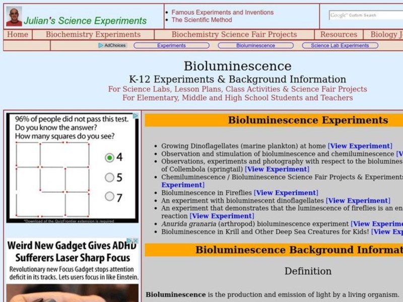 Bioluminescence Lesson Plan