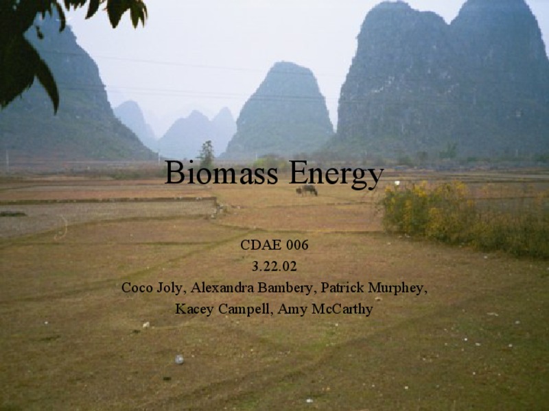 Biomass Energy PPT