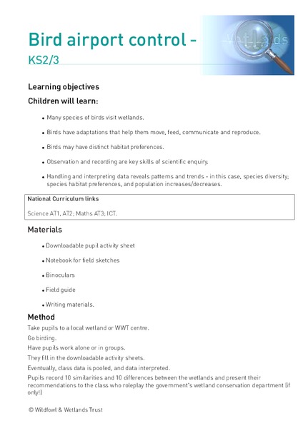 Bird airport control Lesson Plan