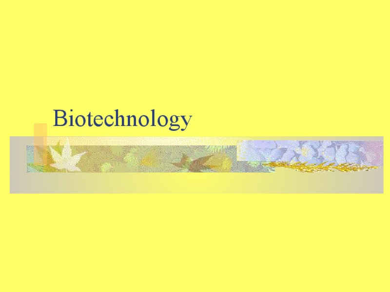 Biotechnology PPT