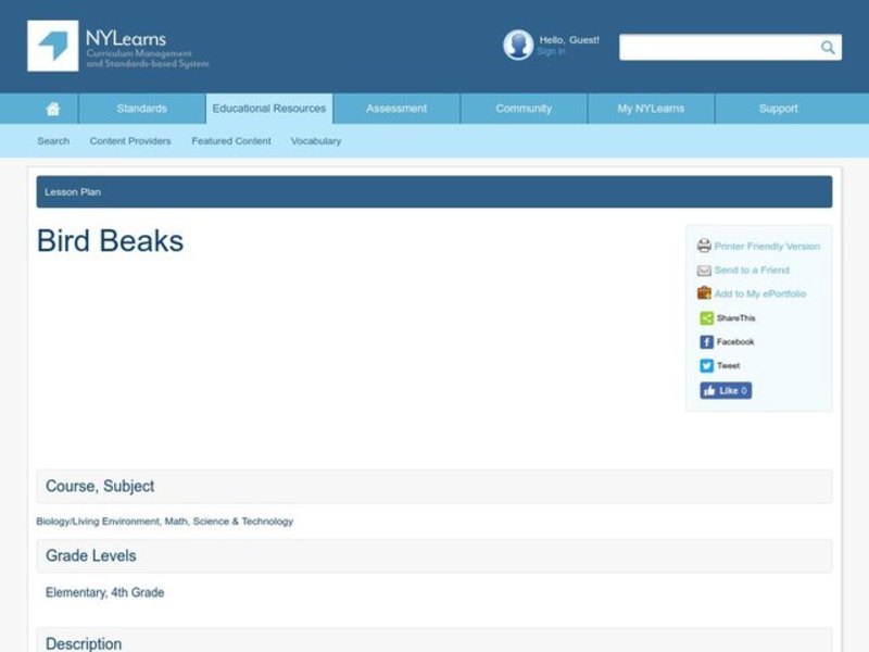 Bird Beaks Lesson Plan