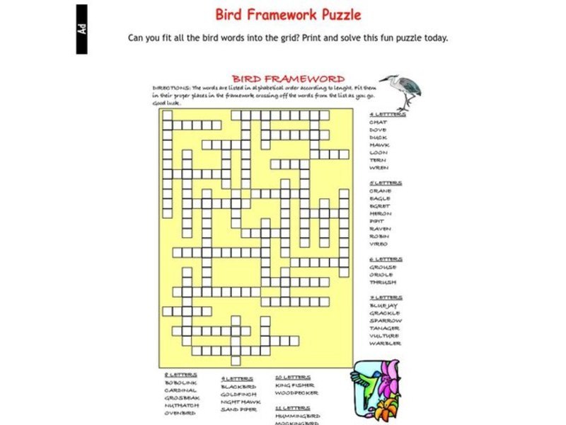 Bird Frameword Worksheet