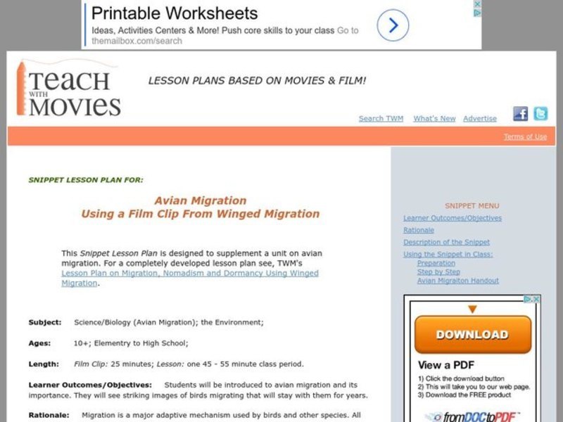 Bird Migration Lesson Plan