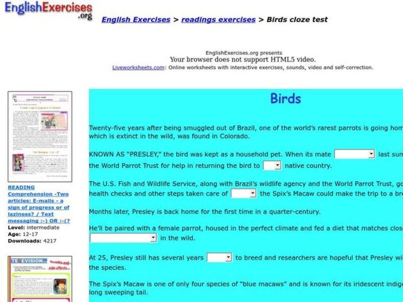 Birds Interactive