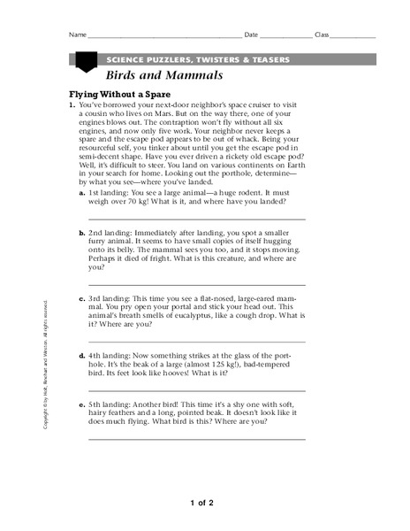 Birds and Mammals Worksheet